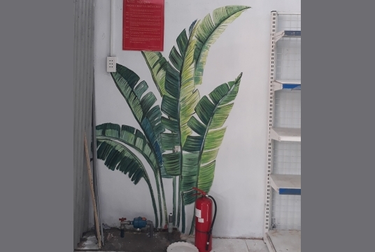 Vẽ Lá Chuối Trang Trí Lớp Học