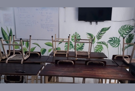 Tranh Tường Lá Cây Troipical Trang Trí Phòng Học